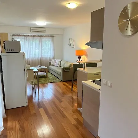 아파트 Ni I - One Bedroom With Balcony G *